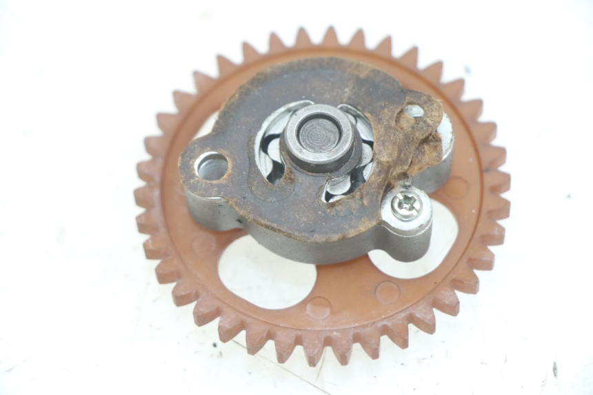 photo de POMPA OLIO TNT MOTOR FASTINO 4T 50 (2013 - 2019) - Dettaglio del componente