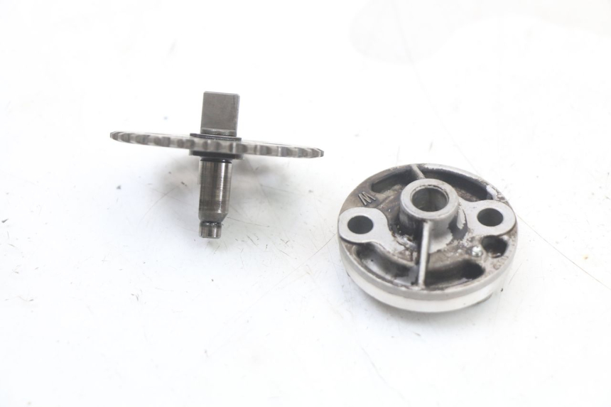 photo de POMPA OLIO HONDA NES AROBASE 125 (2000 - 2003) - Zoom sullo stato d'uso