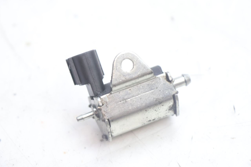 photo de POMPA OLIO PEUGEOT LUDIX 50 (2005 - 2007) - Zoom sullo stato d'uso