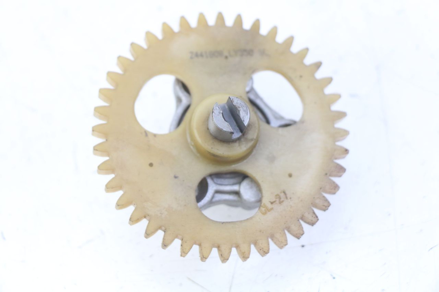 photo de POMPA OLIO SPY RACING F3 350 (2015 - 2022) - Vista principale