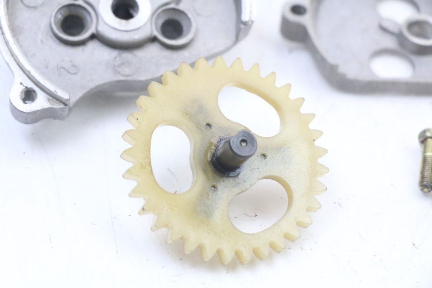 photo de POMPA OLIO REGAL RAPTOR RAXTER 2 125 (2007 - 2015) - Dettagli dei punti di fissaggio