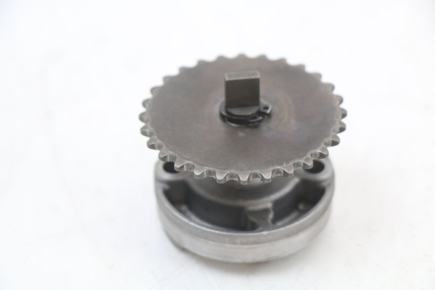 photo de POMPA OLIO DAELIM S3 125 (2010 - 2017) - Dettaglio del componente