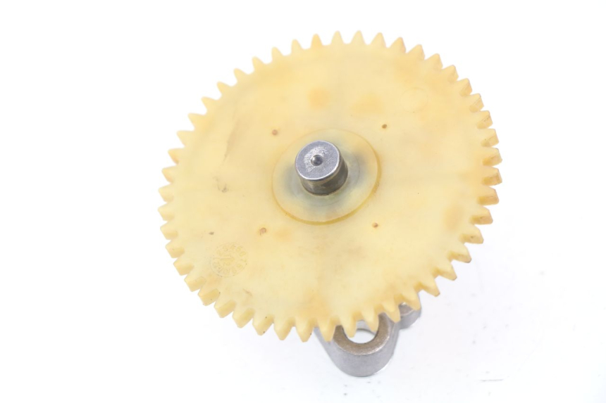 photo de POMPA OLIO JM MOTORS SUNNY 50 (2017 - 2020) - Dettaglio del componente