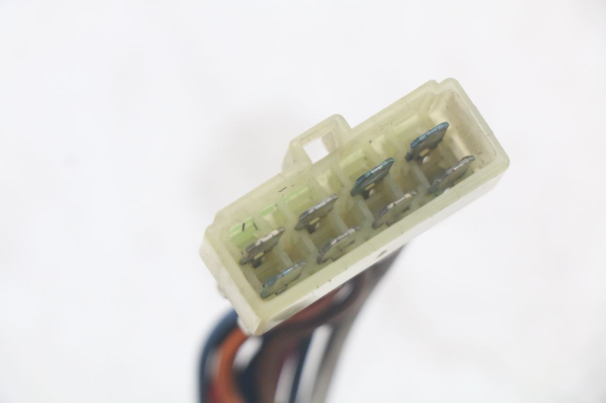 photo de PORTAFUSIBILE TRIUMPH SPEED TRIPLE T301 900 (1994 - 1996) - Dettagli dei punti di fissaggio