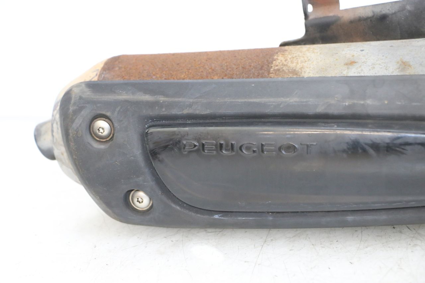 photo de SCARICO PEUGEOT CITYSTAR 50 (2013 - 2017) - Ispezione visiva dettagliata