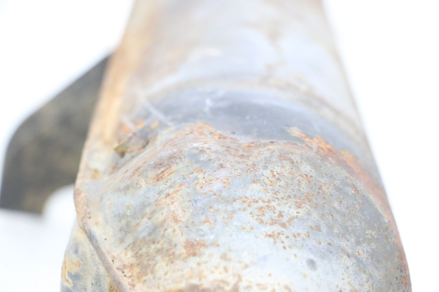 photo de SCARICO PEUGEOT ELYSEO 125 (1999 - 2004) - Altra vista dell'articolo