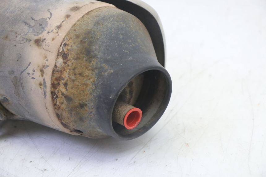 photo de SCARICO HONDA FES S-WING SWING ABS 125 (2007 - 2015) - Caratteristiche distintive