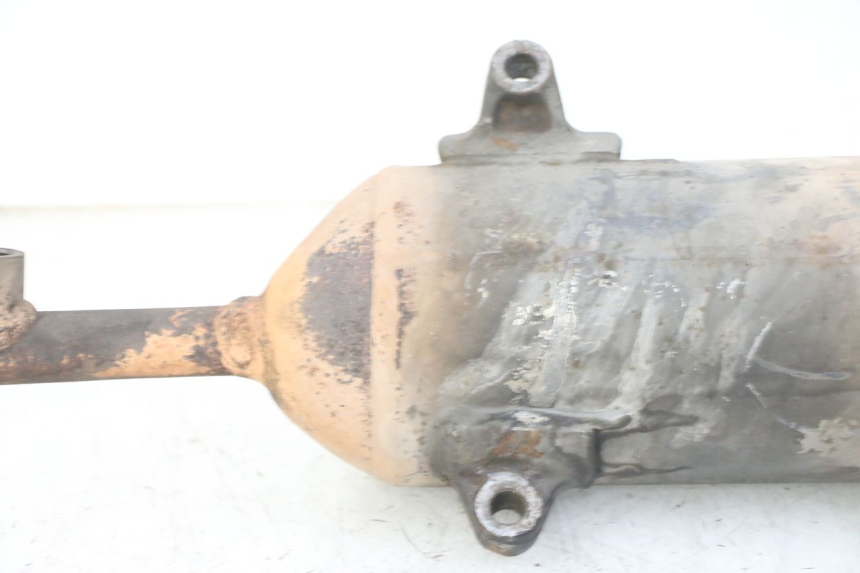 photo de SCARICO HONDA FES S-WING SWING ABS 125 (2007 - 2015) - Caratteristiche distintive