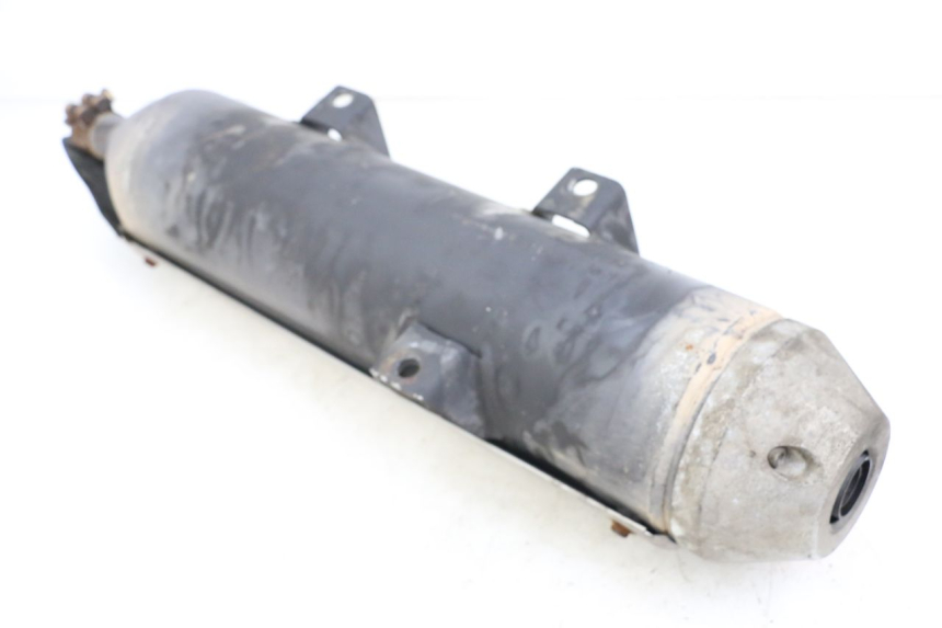 photo de SCARICO PEUGEOT GEOPOLIS RS 125 (2007 - 2009) - Altra angolazione