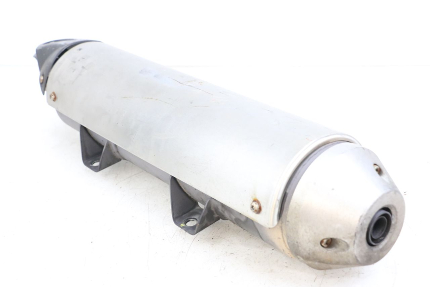 photo de SCARICO PEUGEOT GEOPOLIS RS 125 (2007 - 2009) - Primo piano tecnico