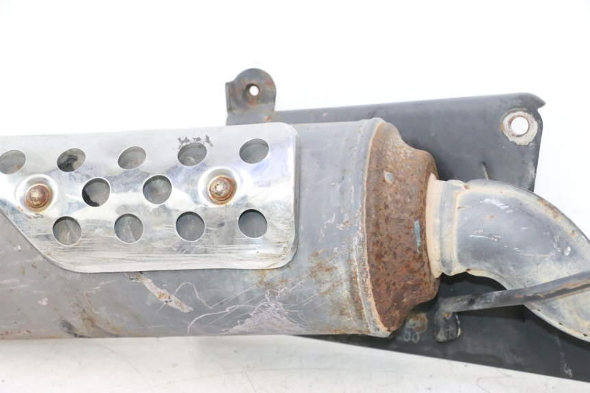 photo de SCARICO PEUGEOT LUDIX PRO 2T 50 (2010 - 2017) - Focus sulla struttura