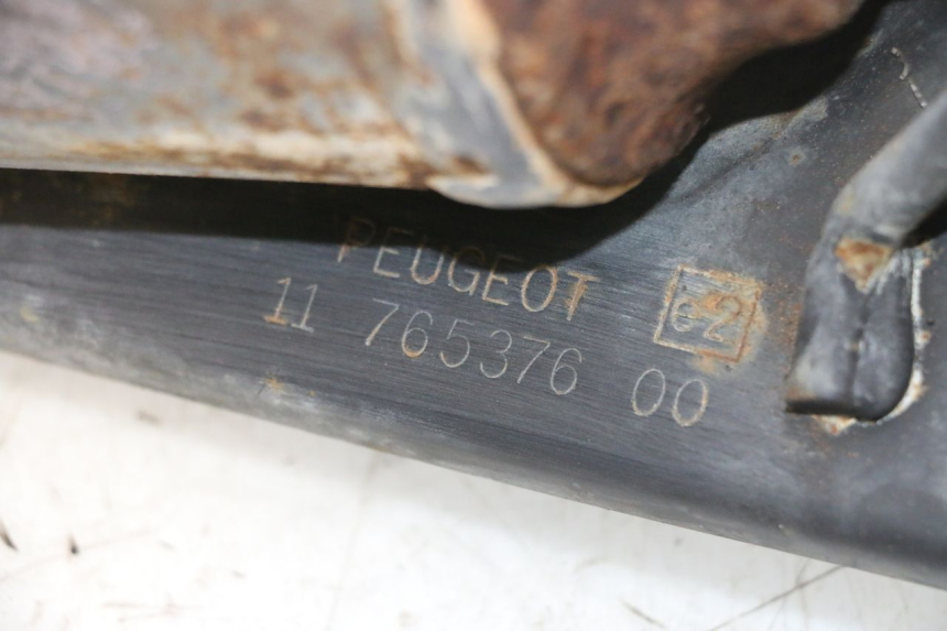 photo de SCARICO PEUGEOT LUDIX PRO 2T 50 (2010 - 2017) - Stato della superficie e materiale