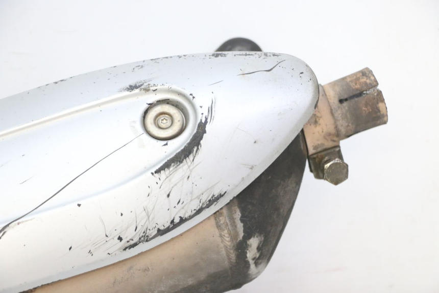 photo de SCARICO PIAGGIO MP3 RL 250 (2006 - 2010) - Zoom sui componenti