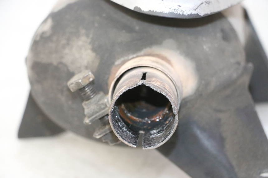 photo de SCARICO PIAGGIO MP3 RL 250 (2006 - 2010) - Stato della superficie e materiale