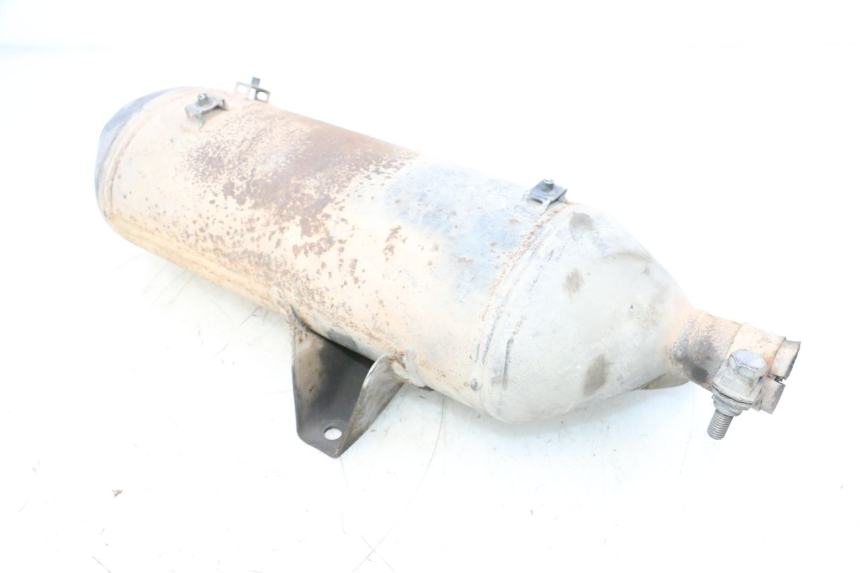 photo de SCARICO PIAGGIO MP3 RL 250 (2006 - 2010) - Focus sulla struttura