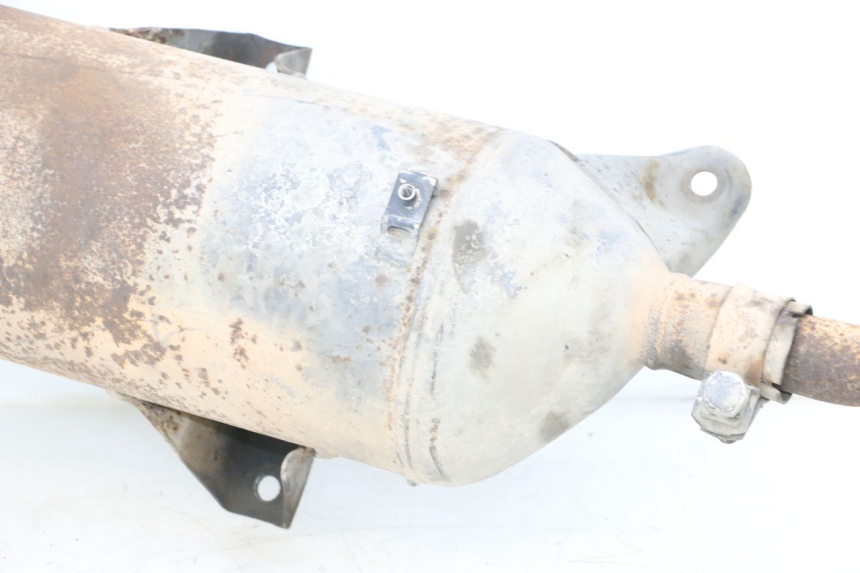 photo de SCARICO PIAGGIO MP3 RL 250 (2006 - 2010) - Panoramica del profilo