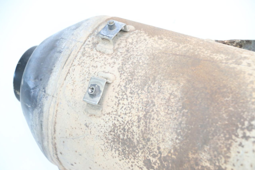 photo de SCARICO PIAGGIO MP3 RL 250 (2006 - 2010) - Vista principale