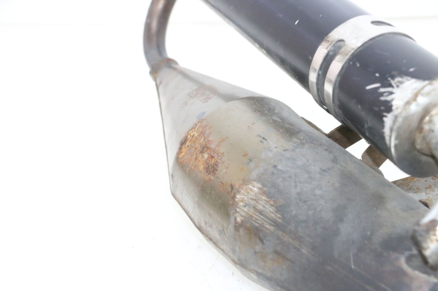 photo de SCARICO PIAGGIO NEW TYPHOON 50 (2018 - 2021) - Panoramica del profilo