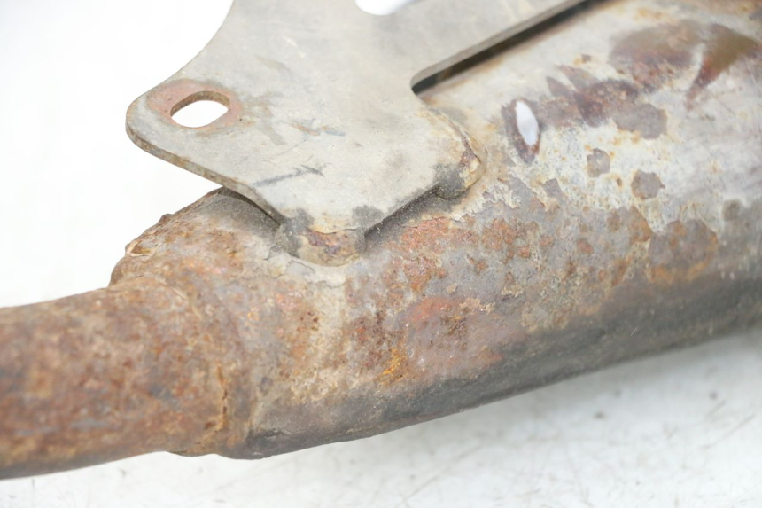 photo de SCARICO PIAGGIO NEW TYPHOON 50 (2018 - 2021) - Vista d'insieme del prodotto