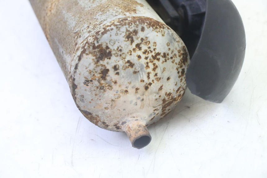 photo de SCARICO TNT MOTOR ROMA 10' 2T 50 (2011 - 2018) - Caratteristiche distintive