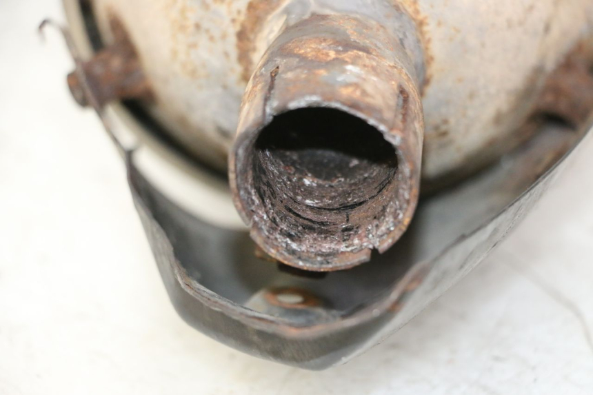 photo de SCARICO PEUGEOT SATELIS 125 (2006 - 2009) - Primo piano tecnico