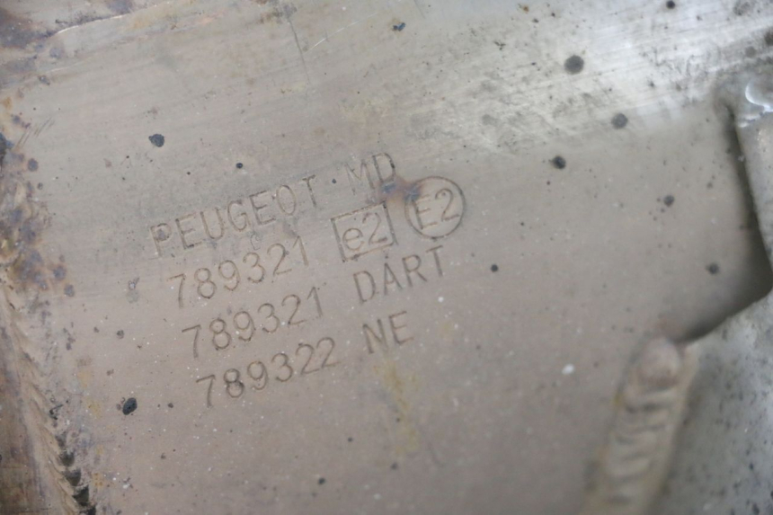 photo de SCARICO PEUGEOT SATELIS 125 (2013 - 2018) - Marcature e riferimenti originali