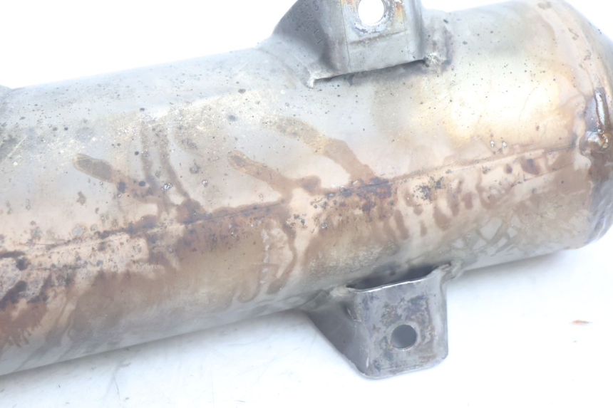 photo de SCARICO PEUGEOT SATELIS 125 (2006 - 2009) - Stato della superficie e materiale
