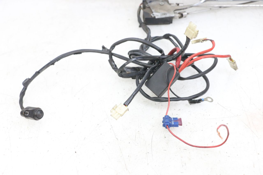 photo de SCARICO HARLEY DAVIDSON SPORTSTER XL CUSTOM 1200 (2003 - 2004) - Dettagli dei punti di fissaggio