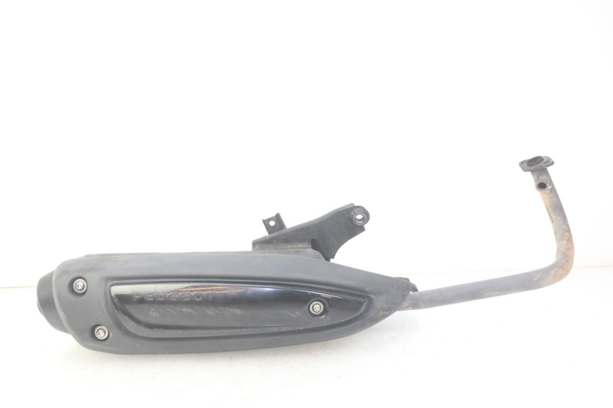 photo de SCARICO PEUGEOT TWEET 4T 50 (2010 - 2014) - Vista principale