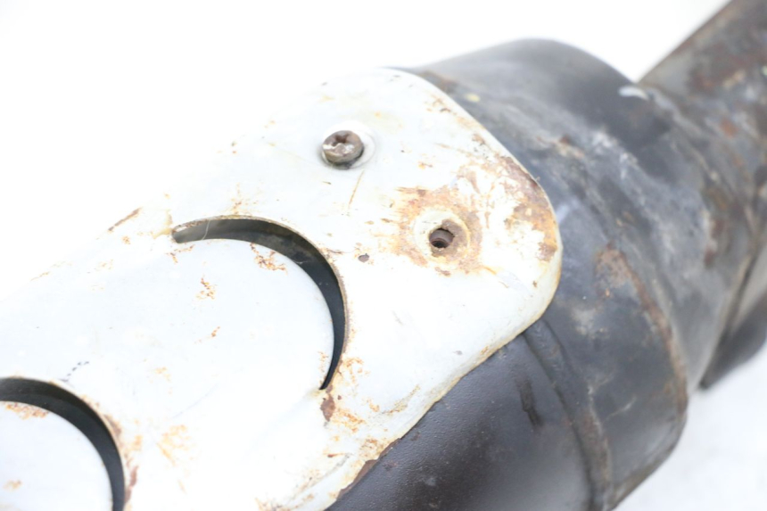 photo de SCARICO PIAGGIO TYPHOON 50 (2000 - 2009) - Primo piano tecnico