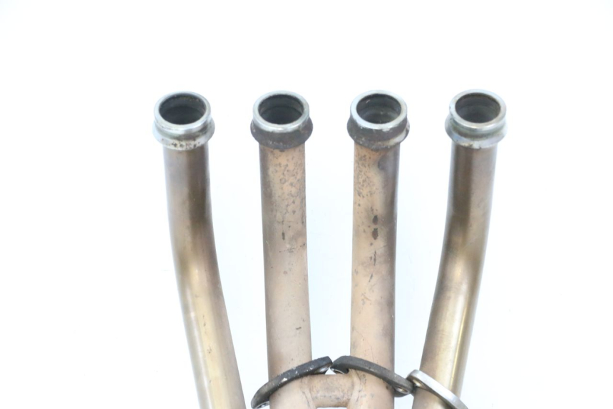 photo de SCARICO YAMAHA XJ6 ABS 600 (2008 - 2016) - Zoom sui componenti