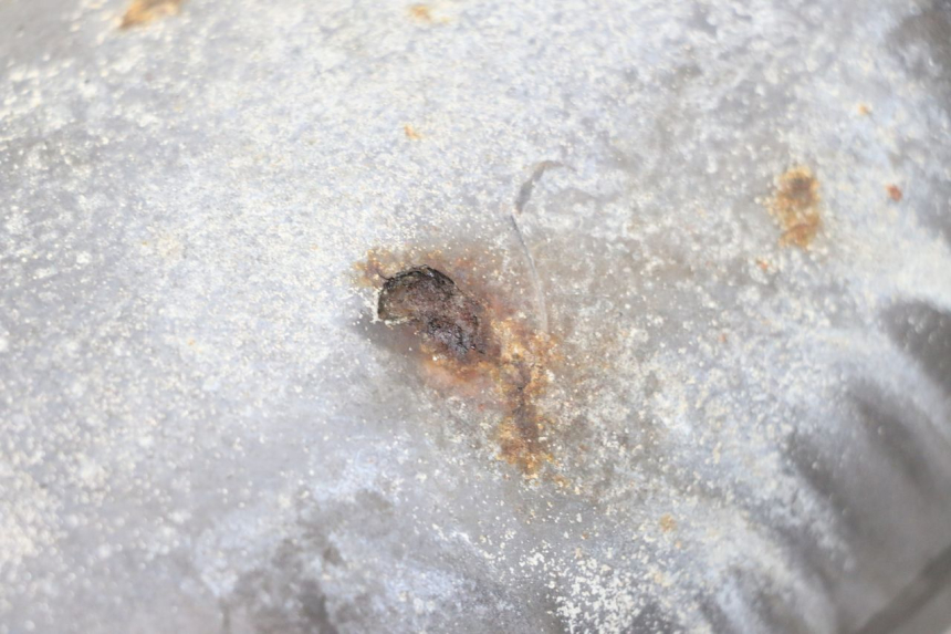 photo de SCARICO YAMAHA YP MAJESTY 125 (2007 - 2010) - Altra angolazione