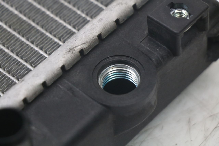 photo de RADIATORE QUADRO 3D S 350 (2013 - 2018) - Stato della superficie e materiale