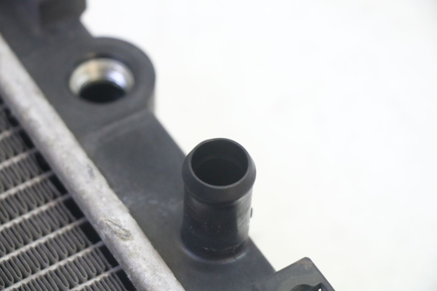 photo de RADIATORE QUADRO 4 4D 350 (2015 - 2018) - Zoom sullo stato d'uso