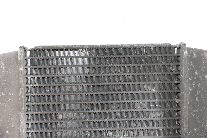 photo de RADIATORE SUZUKI BURGMAN 125 (2007 - 2014) - Caratteristiche distintive