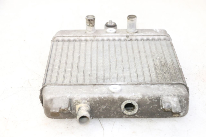 photo de RADIATORE SUZUKI BURGMAN 125 (2007 - 2014) - Stato della superficie e materiale