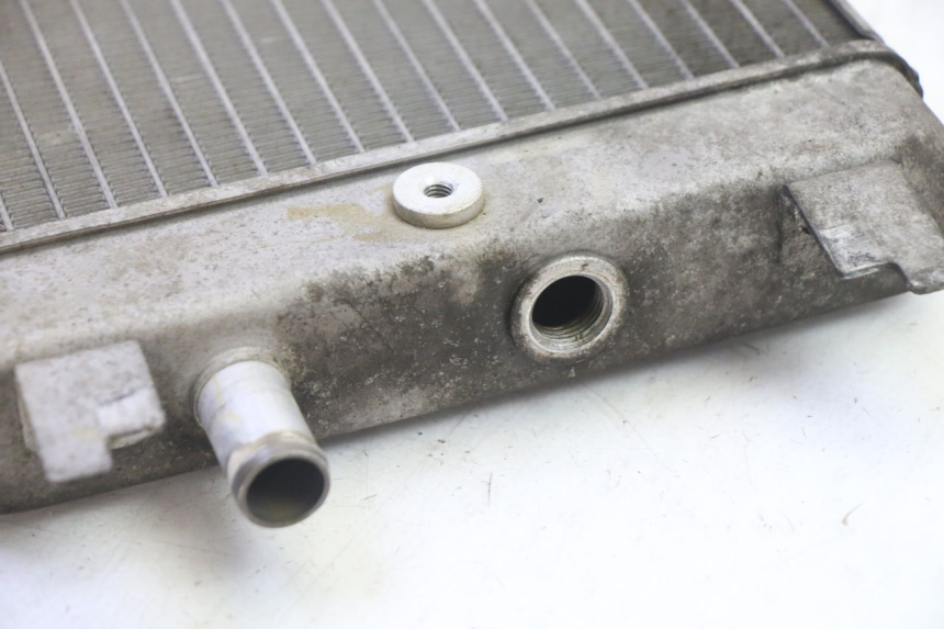 photo de RADIATORE SUZUKI BURGMAN 125 (2007 - 2014) - Primo piano tecnico