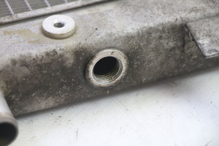 photo de RADIATORE SUZUKI BURGMAN 125 (2007 - 2014) - Vista d'insieme del prodotto