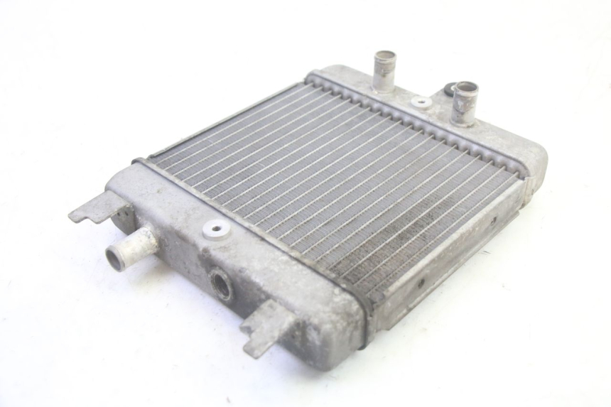 photo de RADIATORE SUZUKI BURGMAN 125 (2007 - 2014) - Altra angolazione