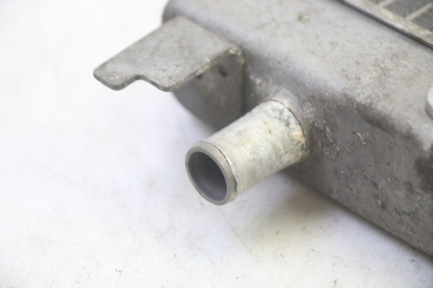 photo de RADIATORE SUZUKI BURGMAN 125 (2007 - 2014) - Primo piano tecnico