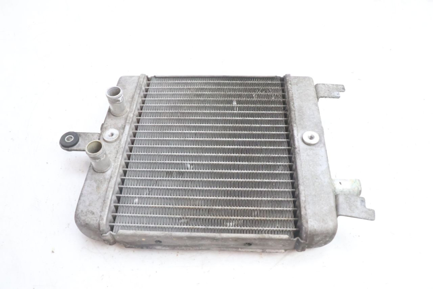 photo de RADIATORE SUZUKI BURGMAN 125 (2007 - 2014) - Vista principale
