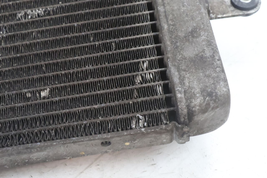 photo de RADIATORE SUZUKI BURGMAN 125 (2007 - 2014) - Caratteristiche distintive