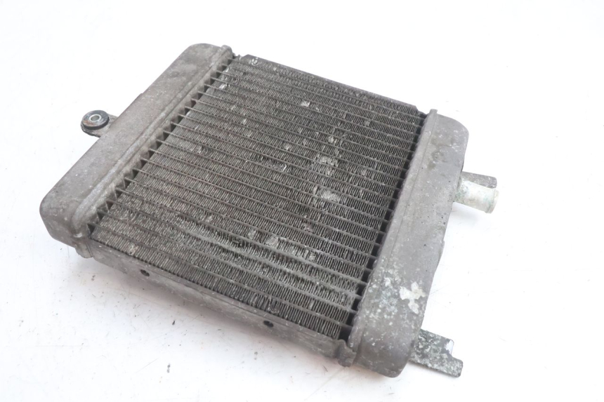 photo de RADIATORE SUZUKI BURGMAN 125 (2007 - 2014) - Zoom sui componenti