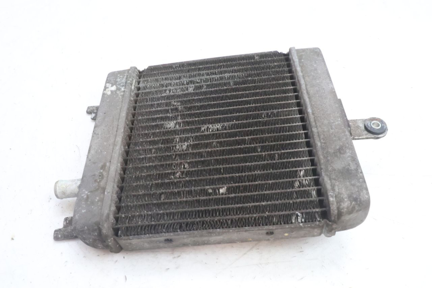 photo de RADIATORE SUZUKI BURGMAN 125 (2007 - 2014) - Ricambio usato controllato