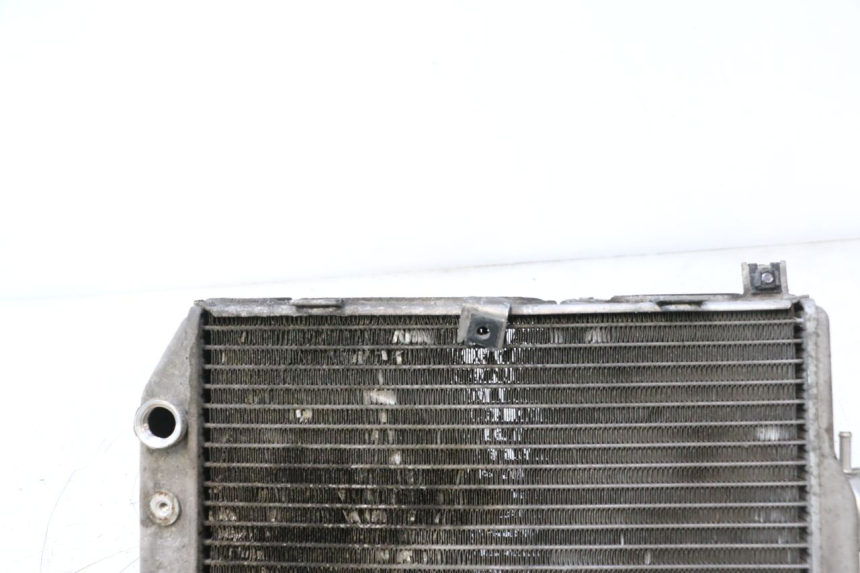 photo de RADIATORE SUZUKI BURGMAN EXECUTIVE ABS 650 (2006 - 2012) - Dettaglio del componente