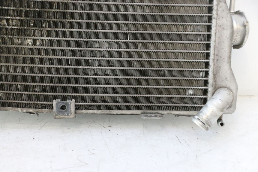 photo de RADIATORE SUZUKI BURGMAN EXECUTIVE ABS 650 (2006 - 2012) - Zoom sui componenti