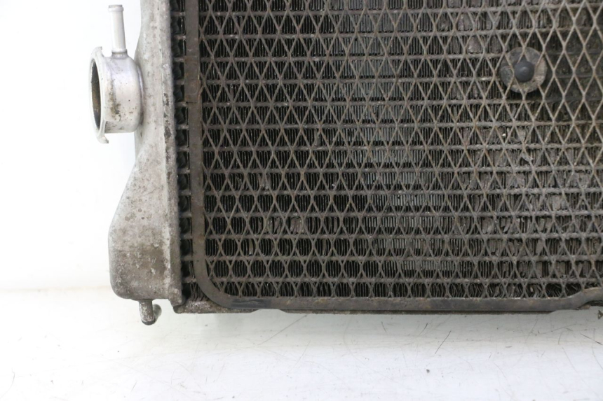 photo de RADIATORE SUZUKI BURGMAN EXECUTIVE ABS 650 (2006 - 2012) - Angolazione alternativa