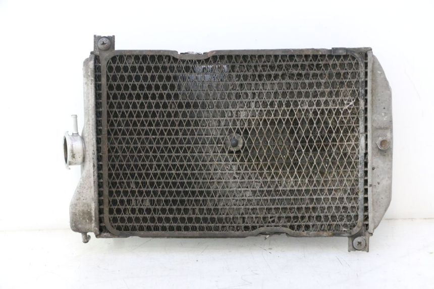 photo de RADIATORE SUZUKI BURGMAN EXECUTIVE ABS 650 (2006 - 2012) - Panoramica del profilo