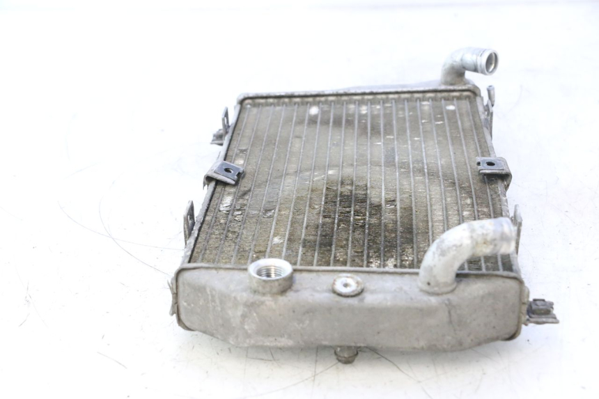 photo de RADIATORE SUZUKI BURGMAN EXECUTIVE ABS 650 (2006 - 2012) - Stato della superficie e materiale