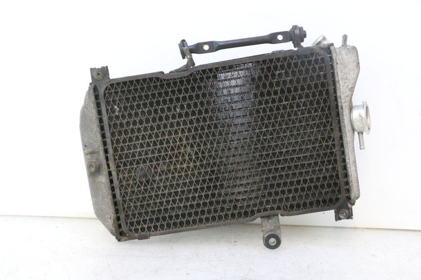 photo de RADIATORE SUZUKI BURGMAN EXECUTIVE ABS 650 (2006 - 2012) - Vista principale